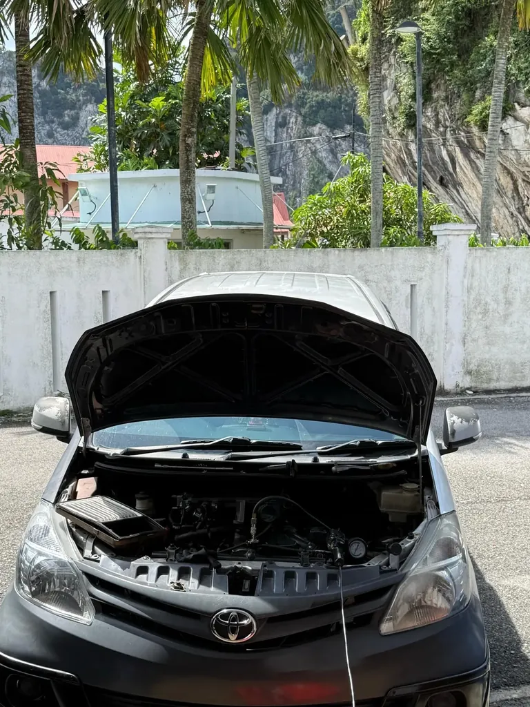 Toyota with its bonnet raised and the engine bay open, palm trees and a limestone hill behind